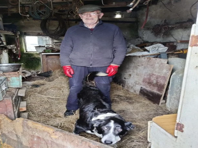 Farm dog Skippy could be one of the world's oldest canines