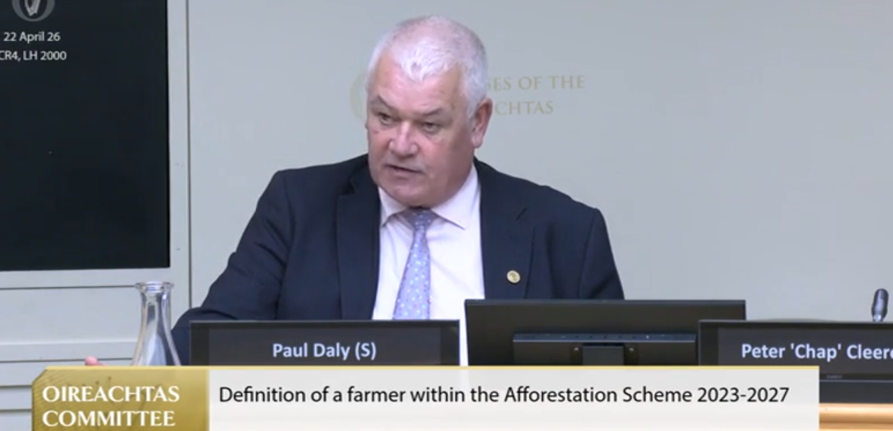 Amount of land available for potential forestry 'is getting smaller' - senator