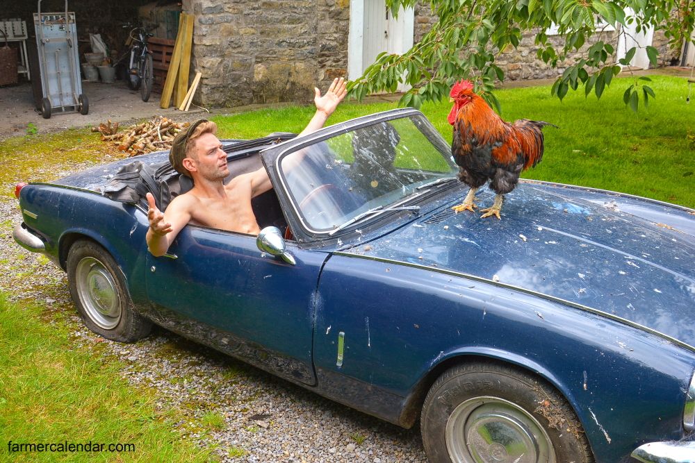 Ireland's 'model' farmers bare almost all for calendar