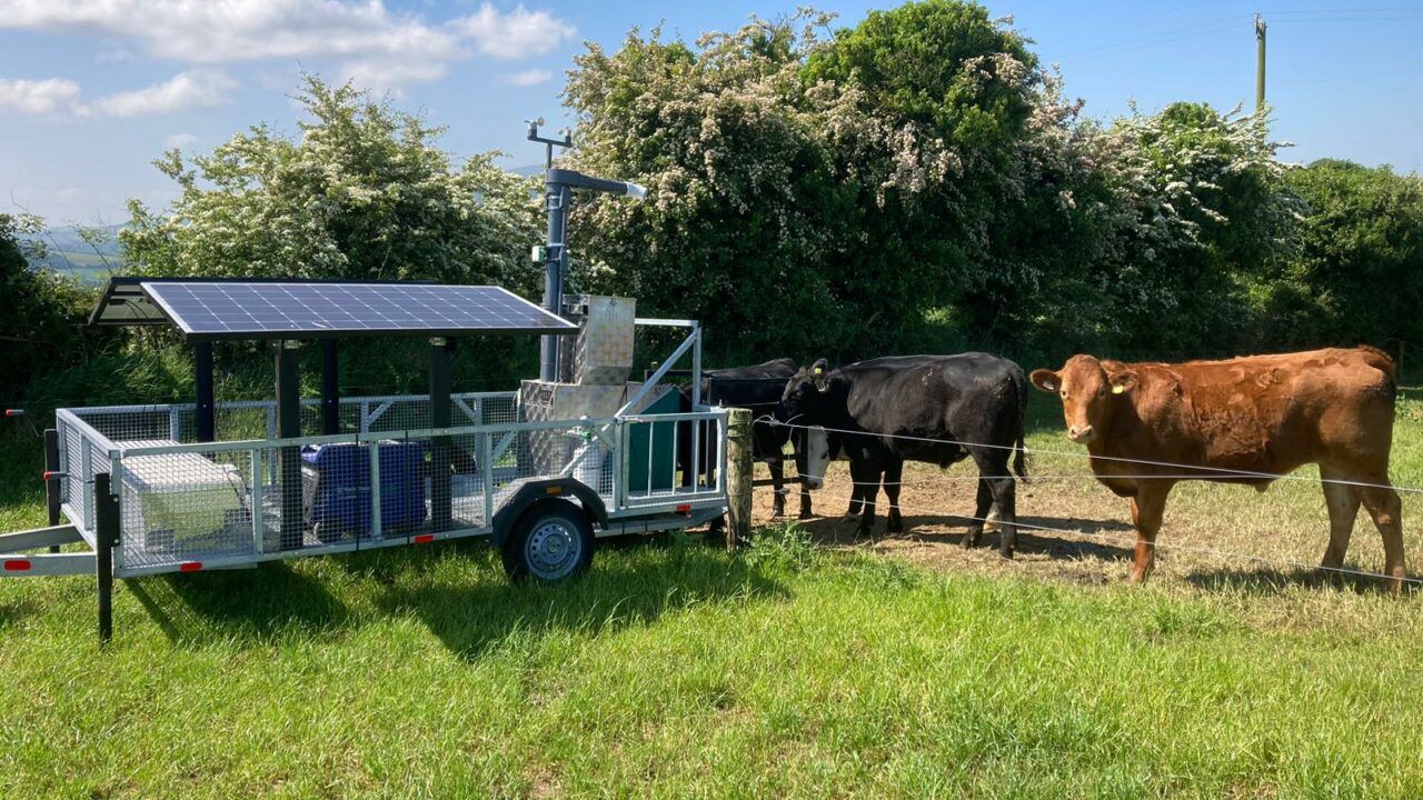 'Promising' additive for Irish beef cattle methane reduction