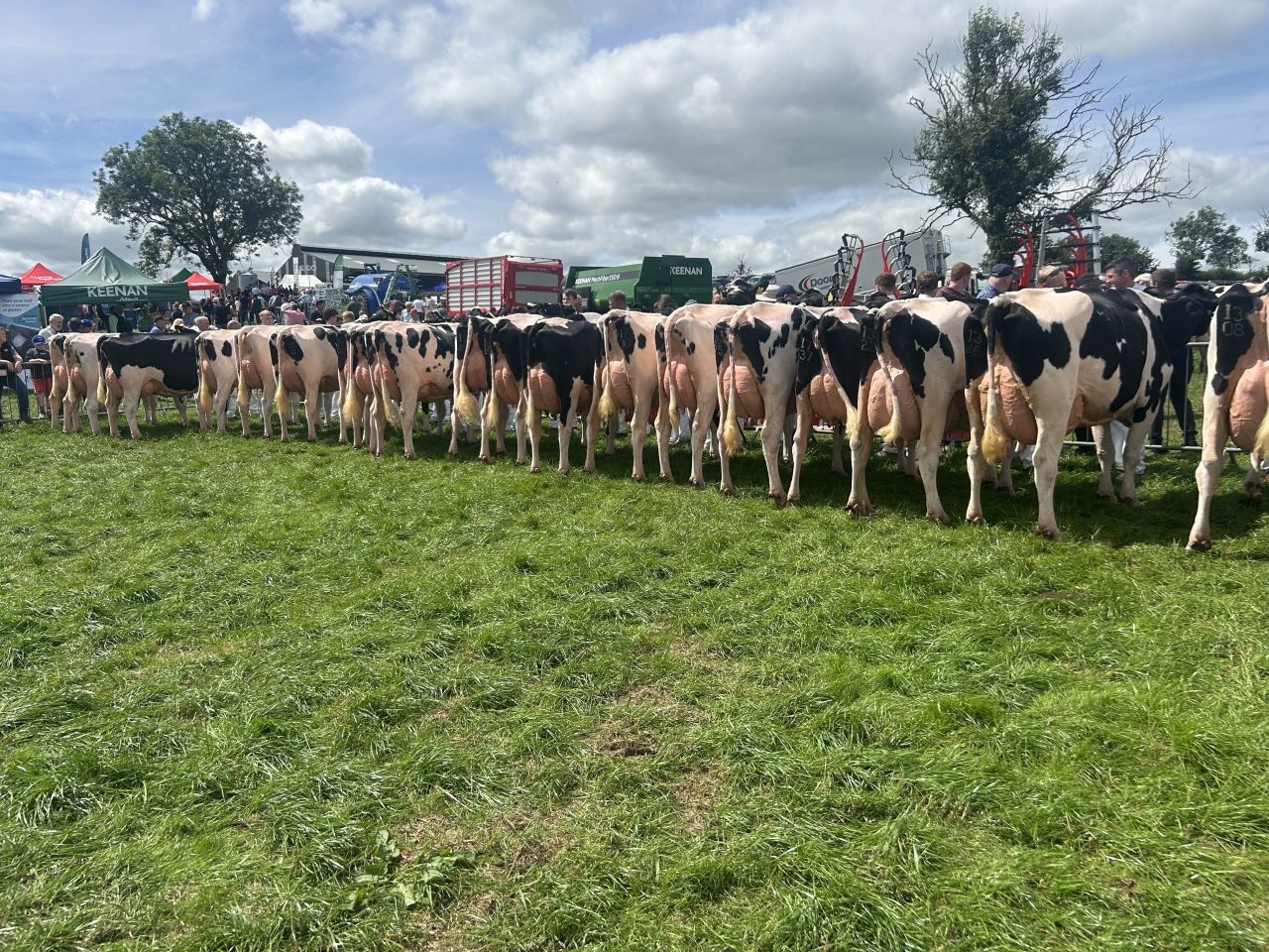 Watch: Results &amp; action from impressive Greenlea Holsteins at IHFA open day