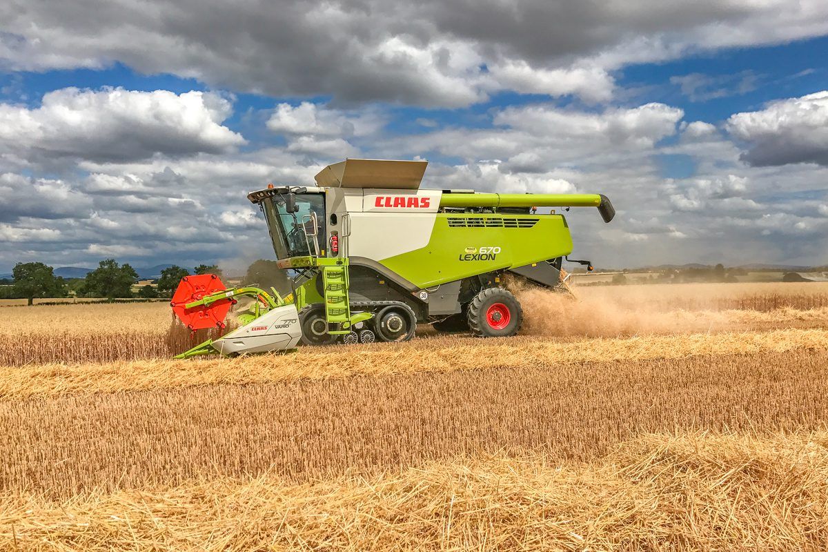 Glanbia to double area of gluten-free oats