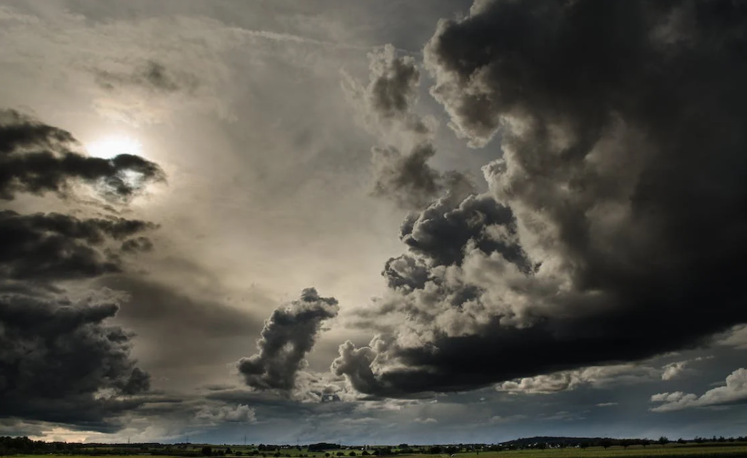New Zealand farmers suffer livestock losses in cyclone