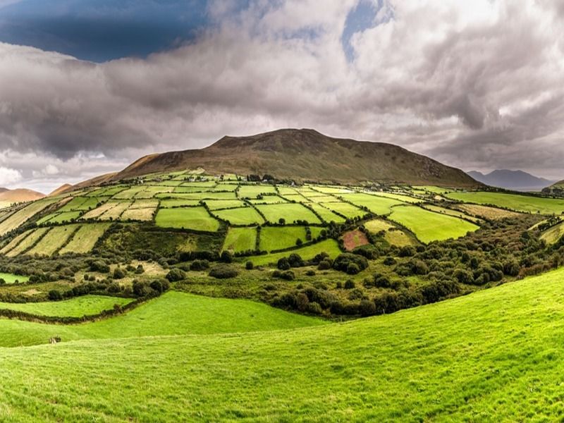 Farmers in south-west warned of low-flying survey aircraft