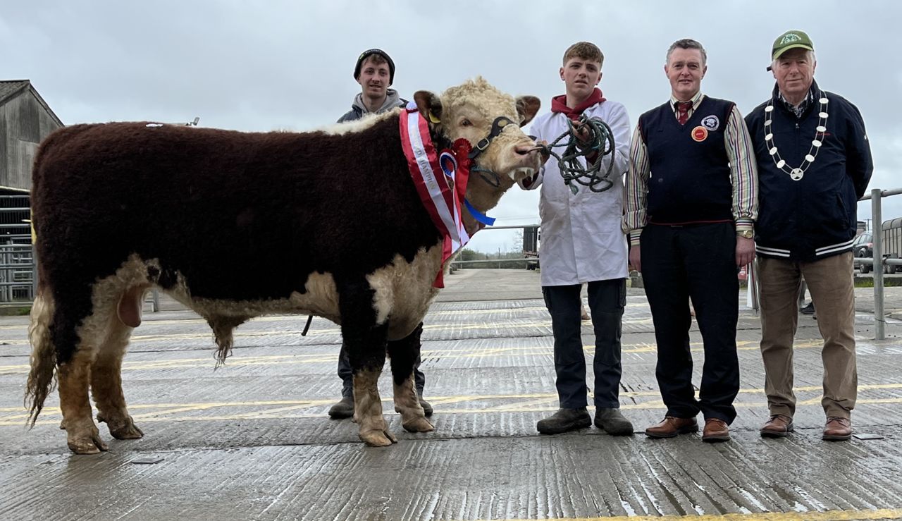 Youngest bull takes top price at Kilmallock Hereford Sale
