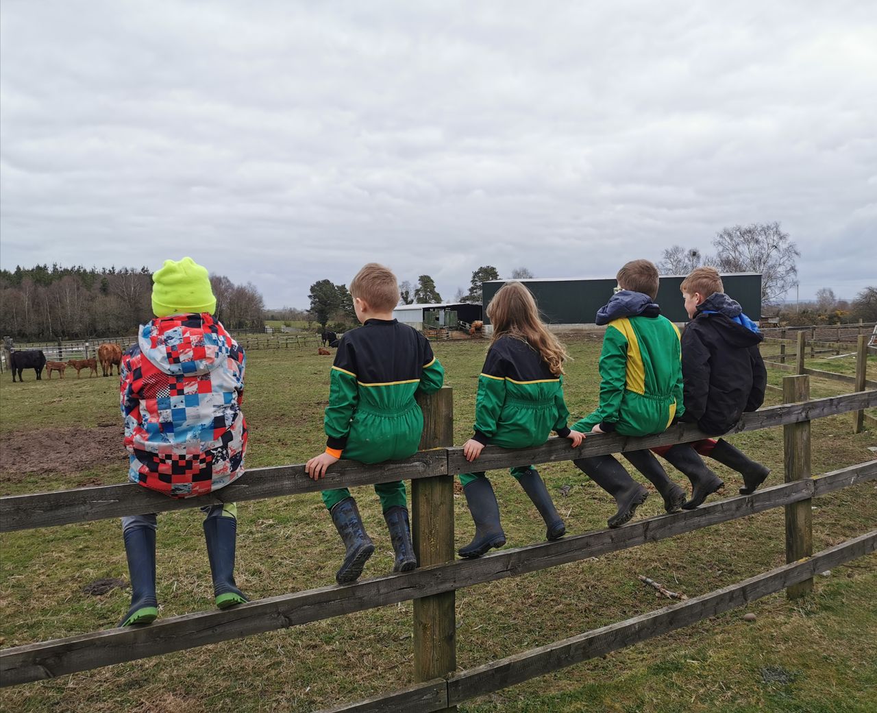 Home educating on the farm: Family share lessons learned