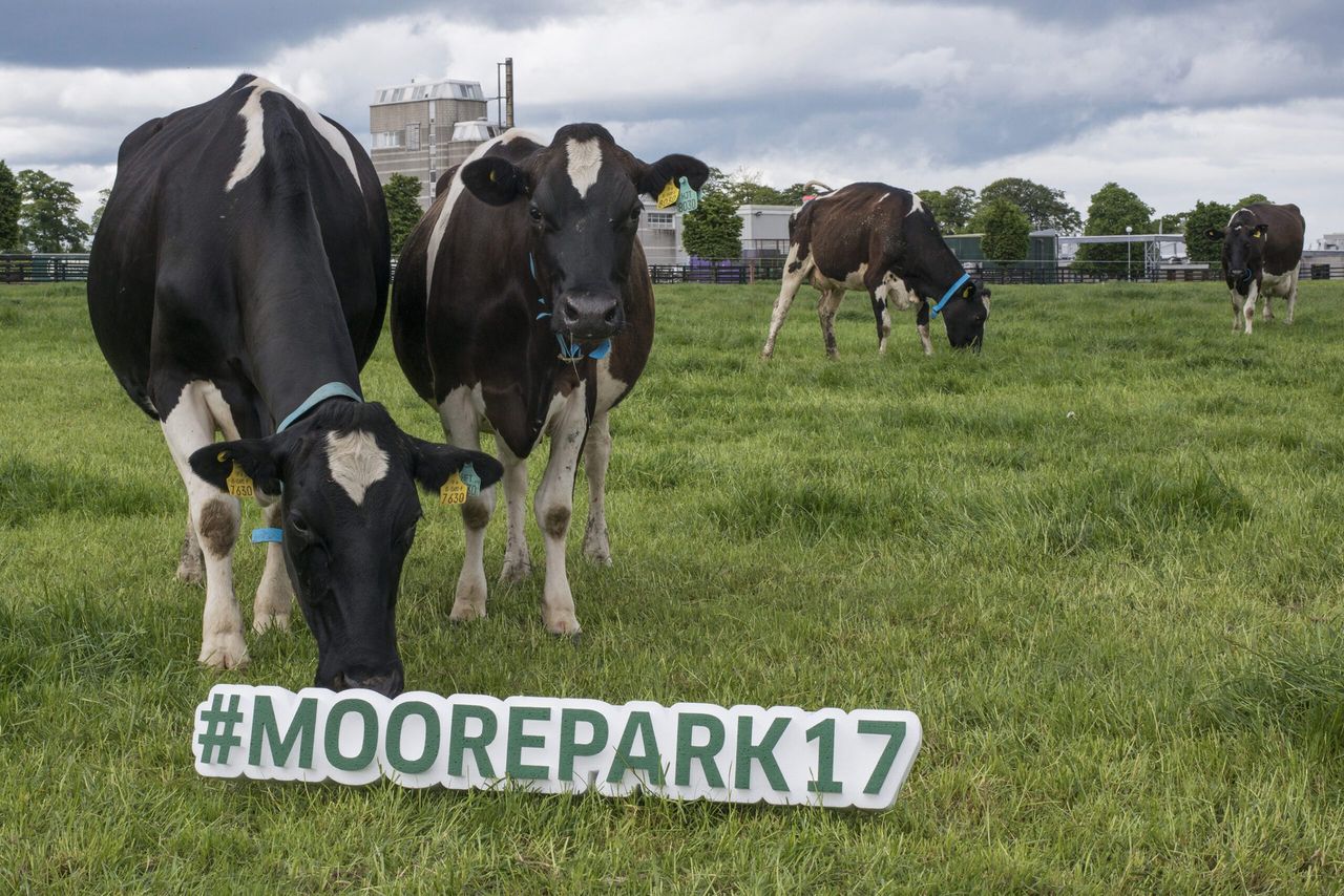 Date for your diary: Open Day at Teagasc Moorepark