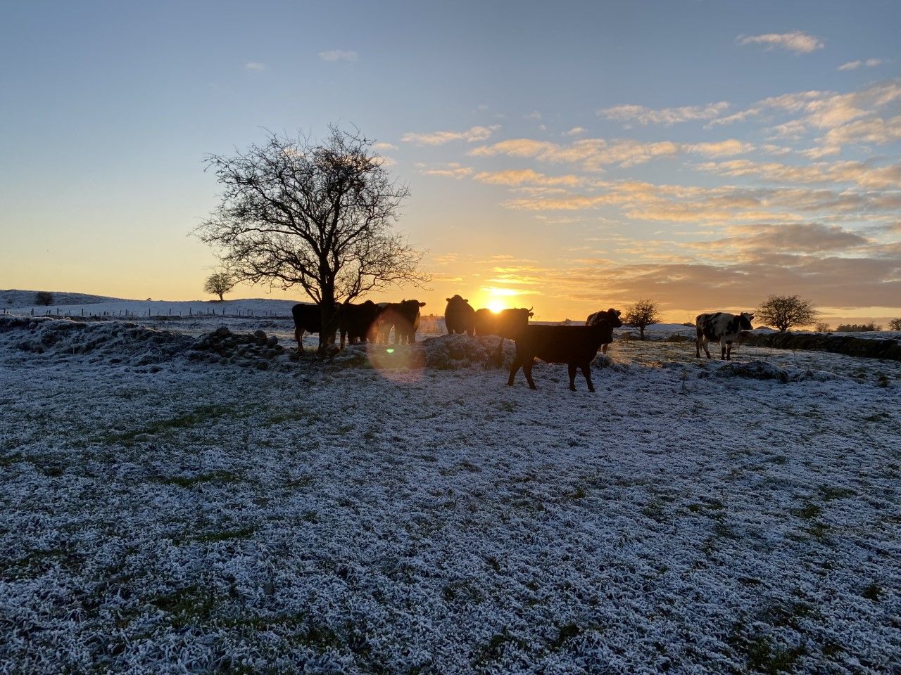 Safety tips to consider for farmers ahead of winter
