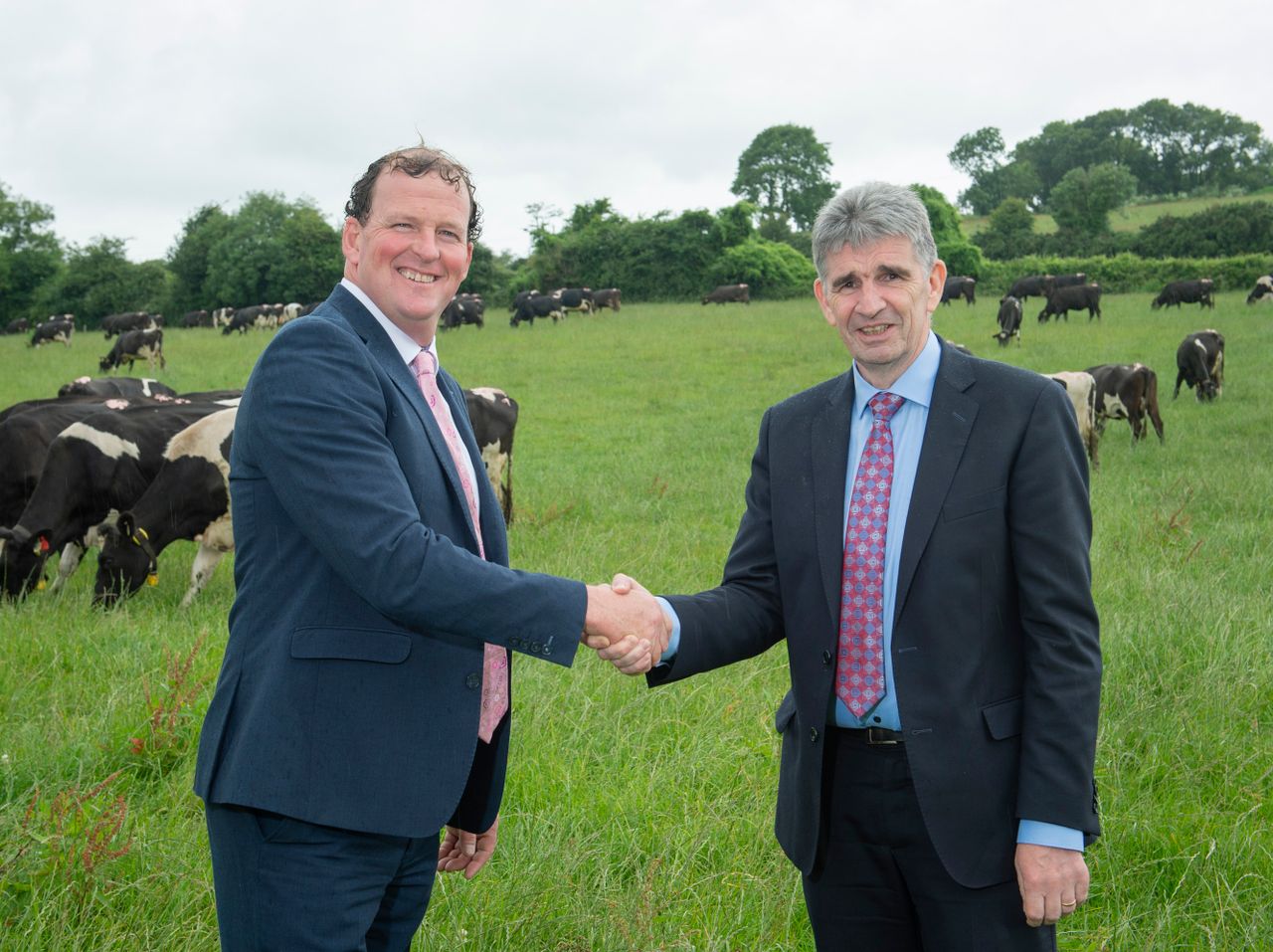 Dairygold appoints chief executive