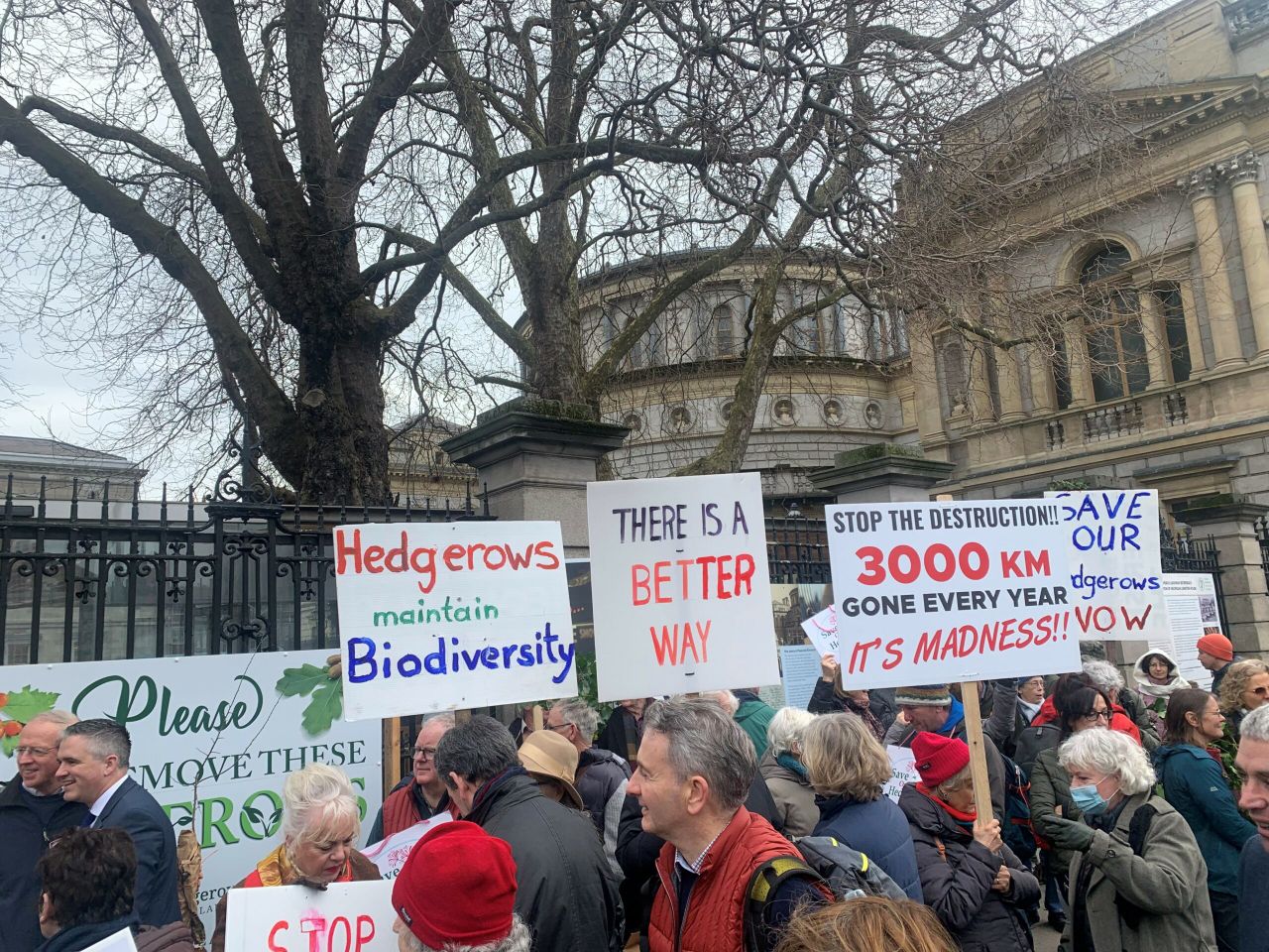 Minister under pressure as hedgerow protesters demand change
