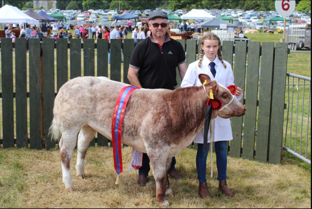 If beef is too dear, consumers will stop buying it - livestock farmer
