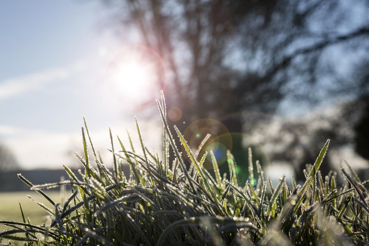 A mixture of showers, dry spells and frost in store this week - Met Eireann
