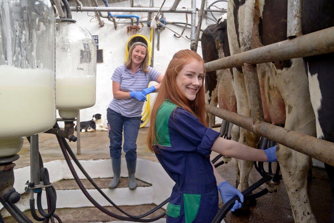 New women in ag group calls for 'culture change' in Irish farming