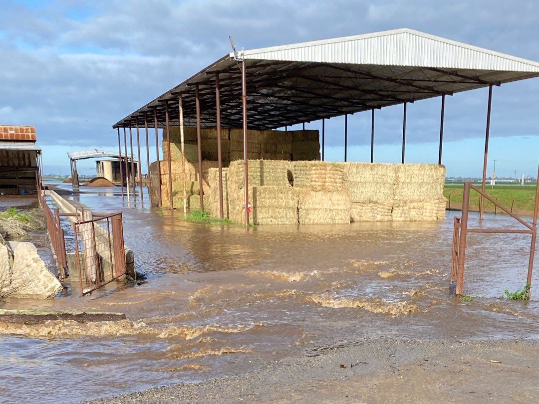 USDA outlines support for California farmers affected by floods
