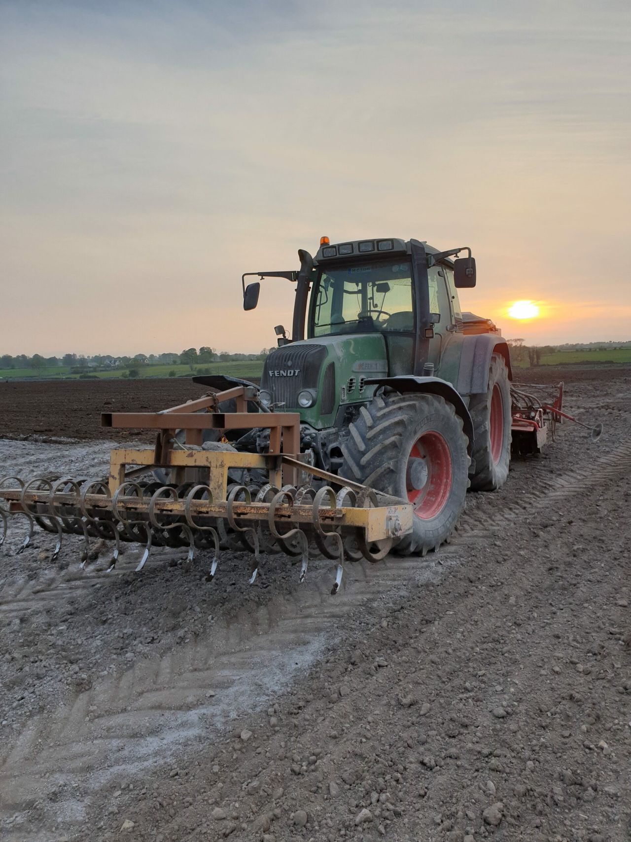 Oilseed rape acreage up by almost 25%