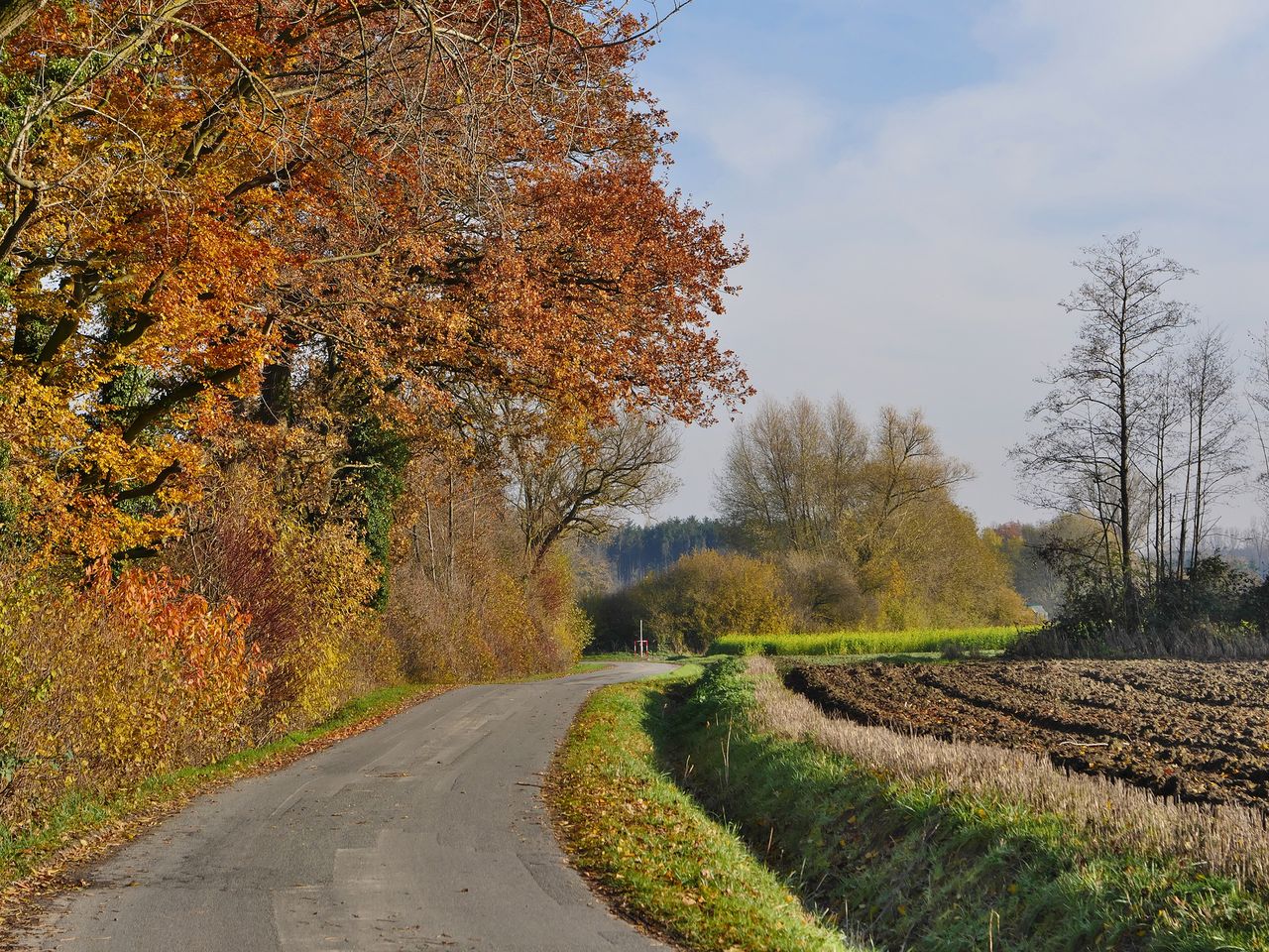 How can farmers make money from carbon farming?