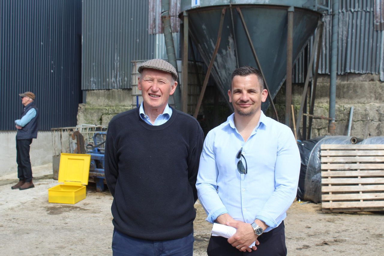Co. Down dairy farmer credits grassland reseeding for farm performance
