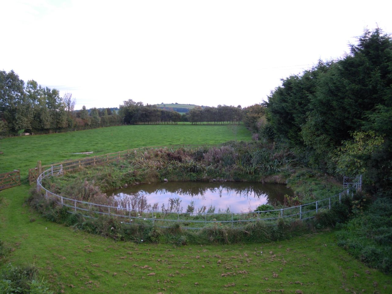 An Taisce expands pond biodiversity project