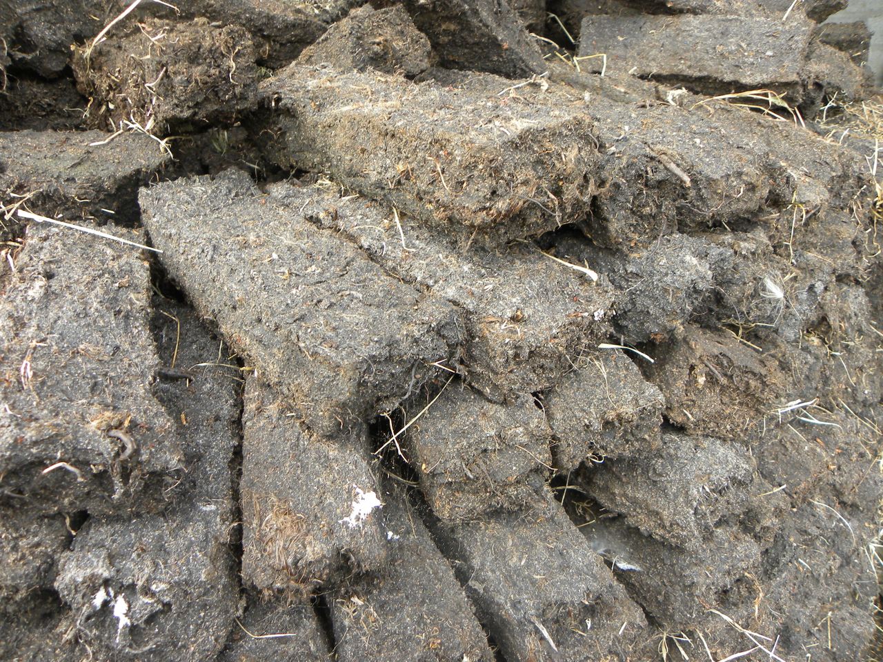 €5,000 fine issued for illegal turf-cutting in Westmeath