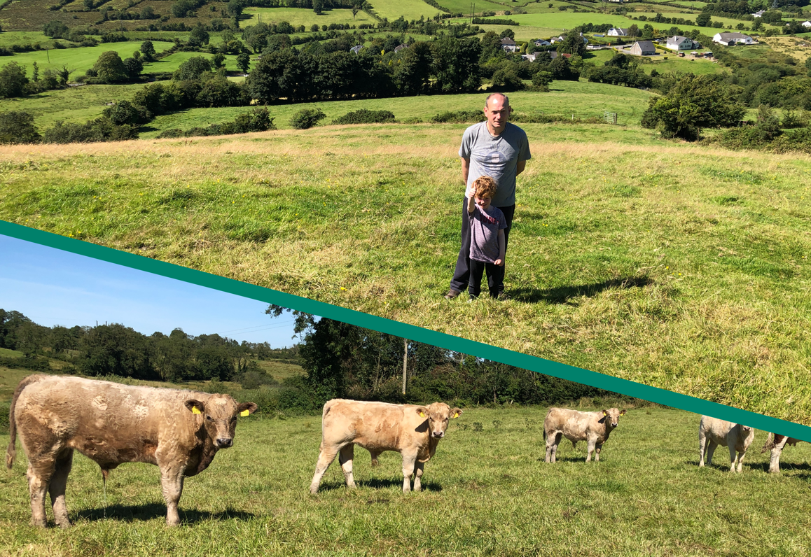 Beef Focus: Suckler farming on 'the highest hill' in mid Cavan