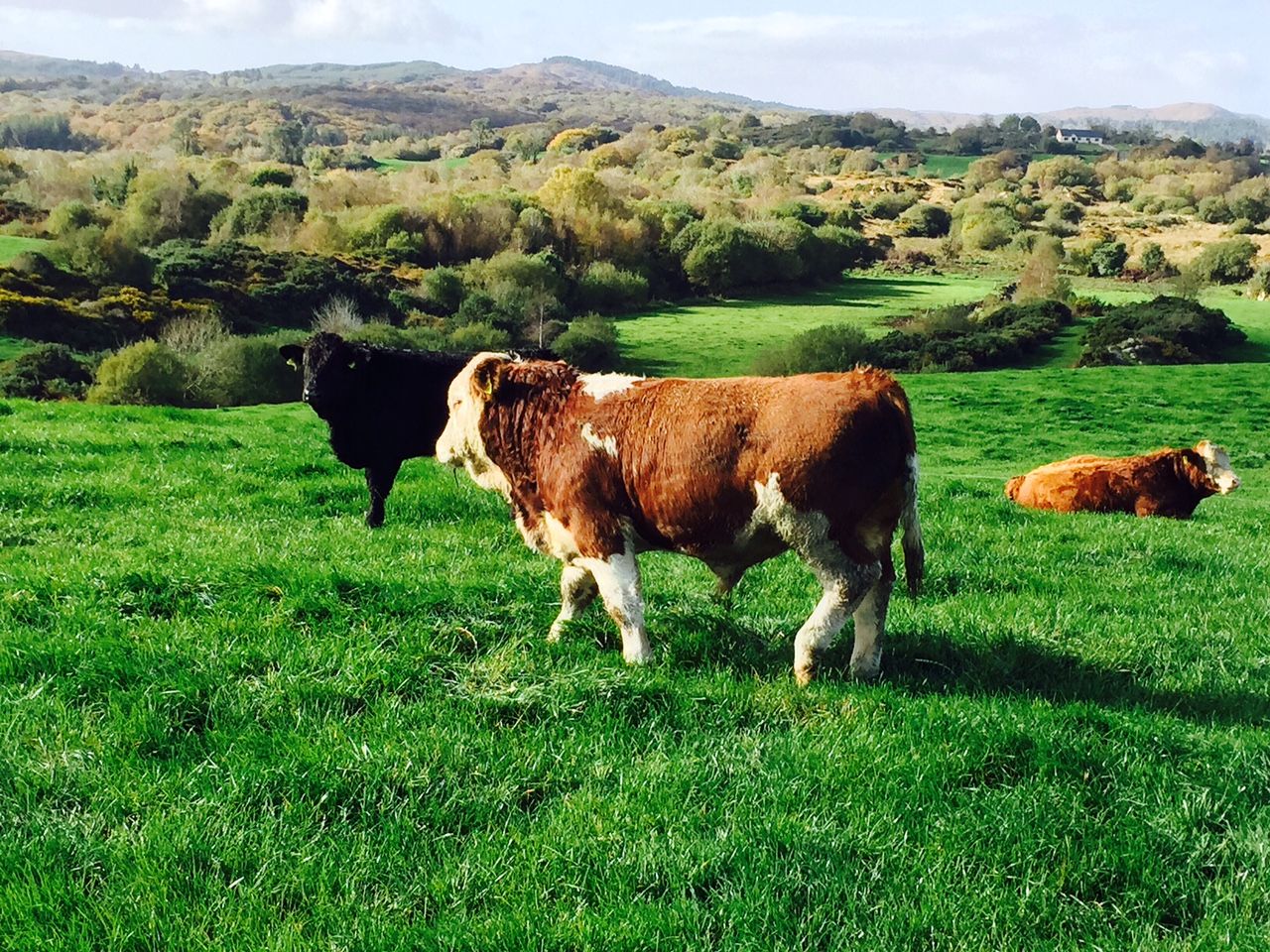 Have you a plan in place when it comes to weaning?