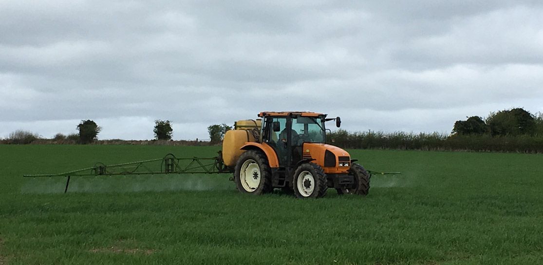 Pesticides: Make sure you're getting the right advice