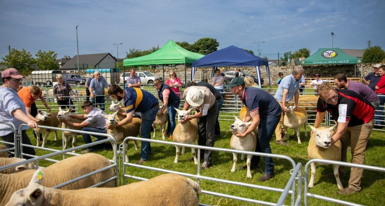 Oldcastle Agricultural Show lines up busy programme