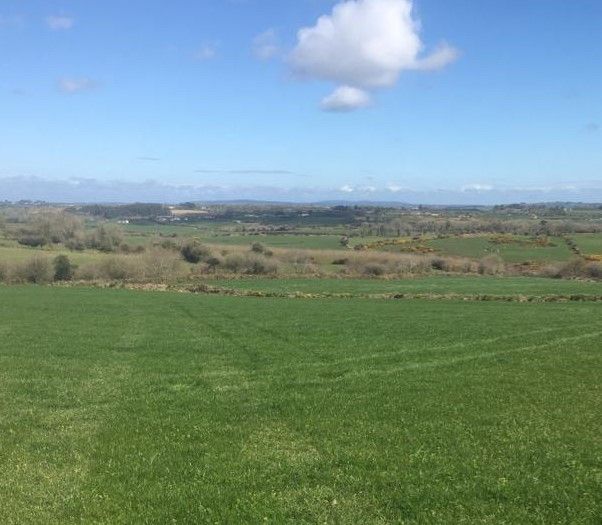 Silage ground closed off for most, but some still playing catch-up