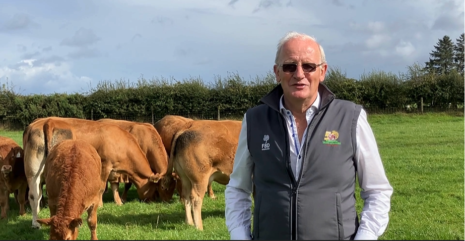 Bertie Mannion set to host Limousin heifer production sale