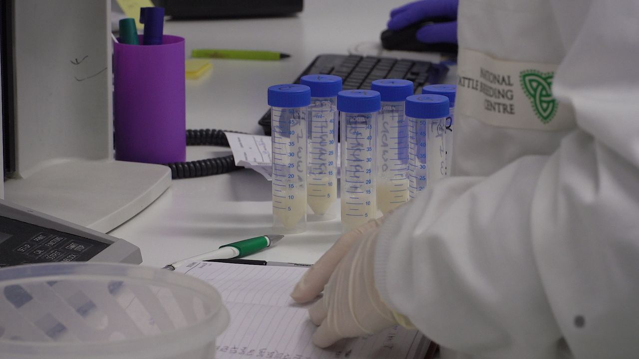 Department removes Cork surveillance zone following January rabies case