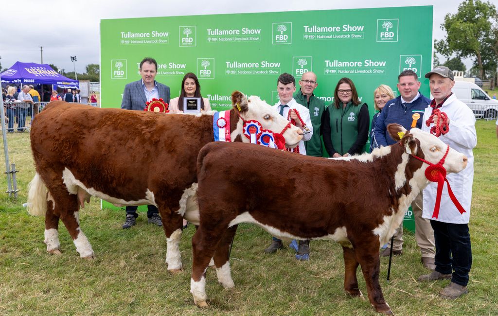The Champion Hereford owned by Jack Larkin from Tullamore, Co. Offaly, pictured with Minister for Agriculture, Food and the Marine Charlie McConalogue and representatives from Tullamore Show and FBD.Source: Alf Harvey