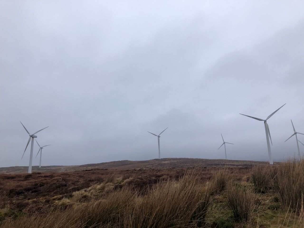 High Court challenge to Kilkenny wind farm on Coillte land