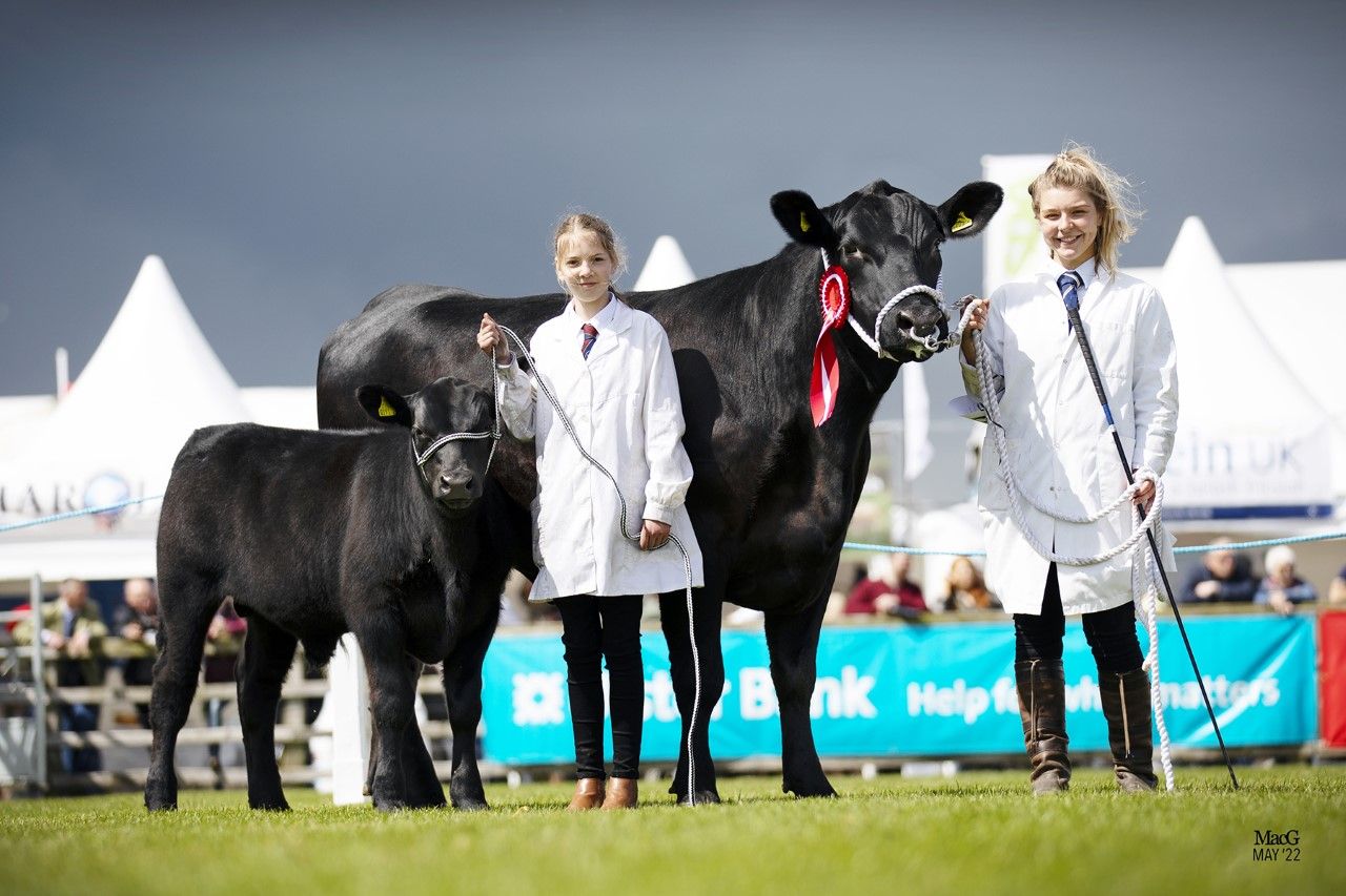 An Aberdeen Angus perspective on significance of Balmoral Show
