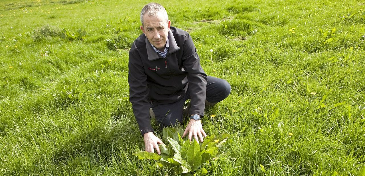 Will contractor spraying become the 'norm' within grassland sector?