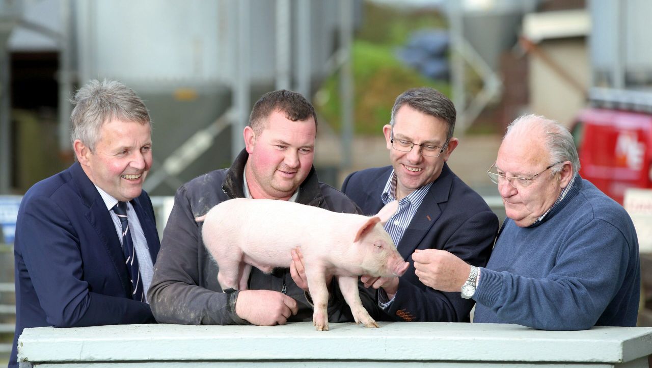 UK pork giant gives backing to Open Farm Weekend