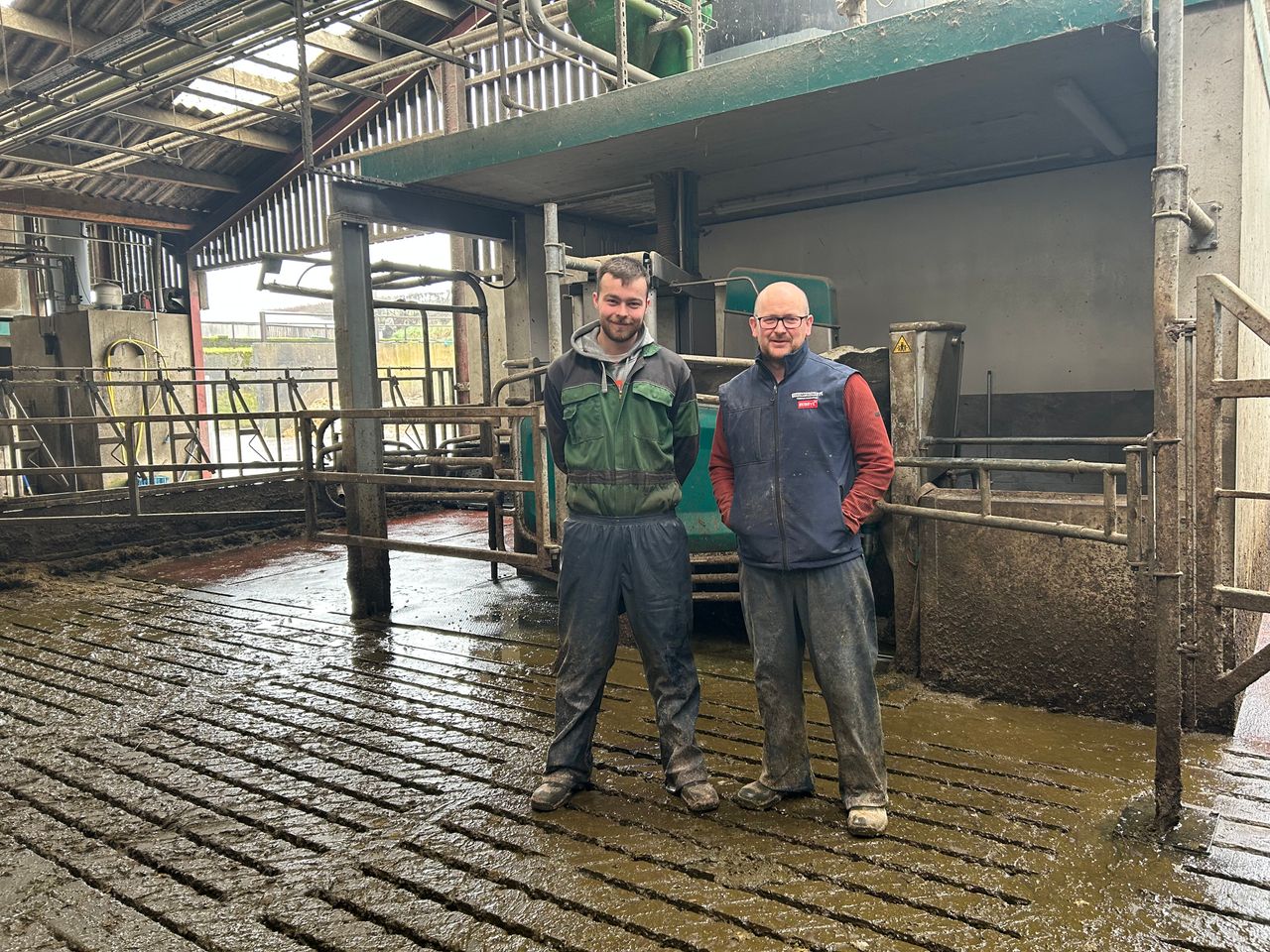 Dairy Focus: Milking 240 cows with 4 GEA robots in Antrim