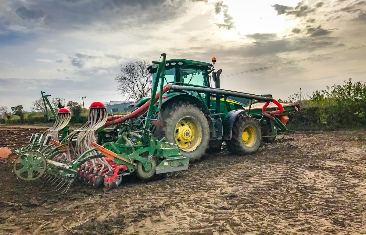 Tillage focus: Sowing winter wheat beside the M50