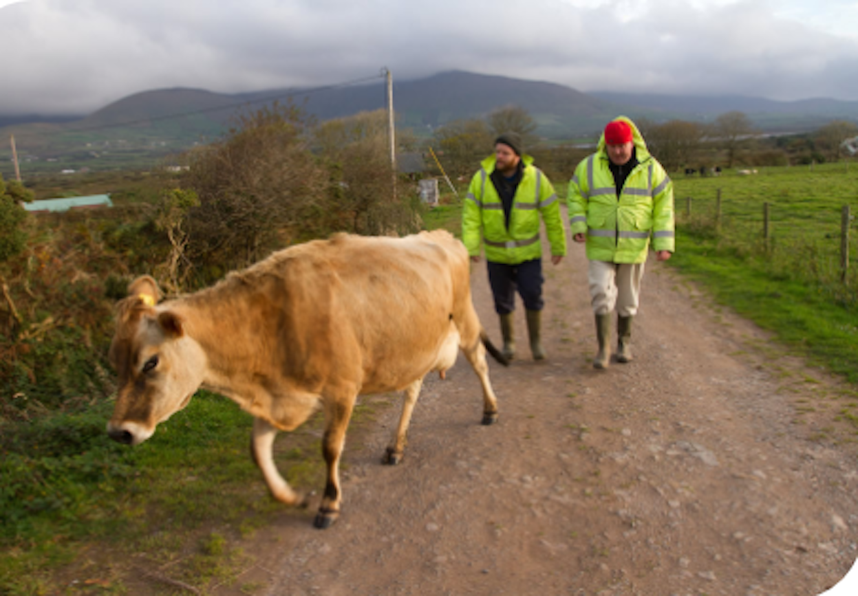 Camphill Communities ramps up Grangemockler farm activity