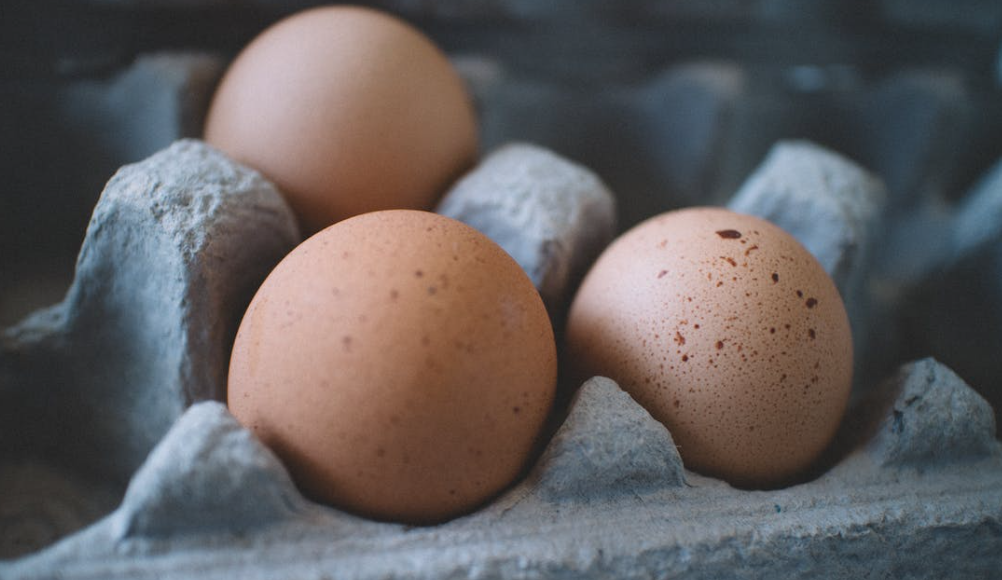 A top quality diet 'best investment' poultry farmers can make - specialist