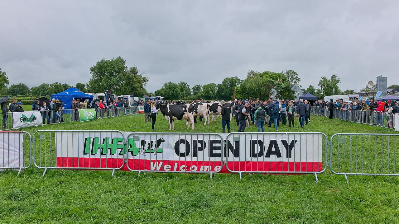 IHFA National Herds Competition winners announced prior to sale