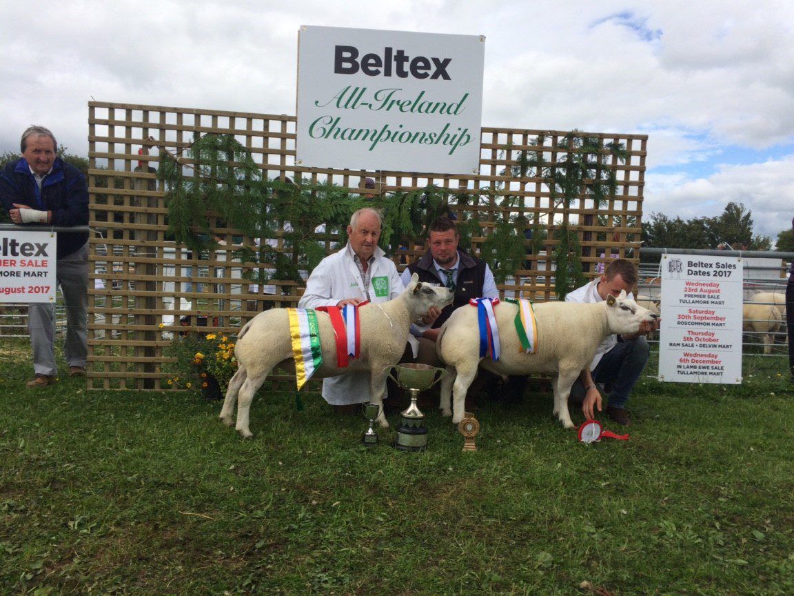 Clearance sale of All-Ireland winning Beltex flock this weekend