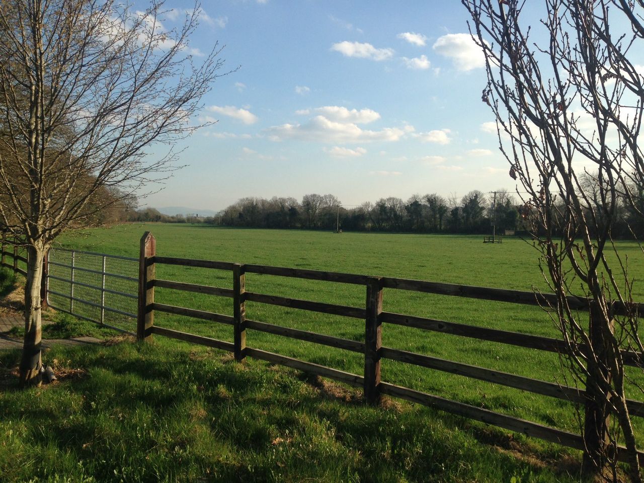 Irish agricultural land values fall in the first quarter of 2016