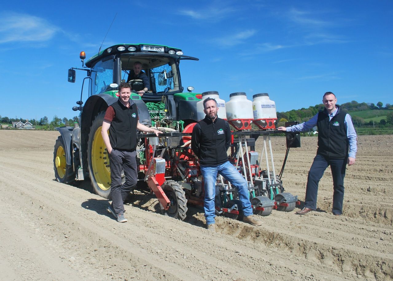 'Busy carrot planting season a success - for upcoming July harvest'