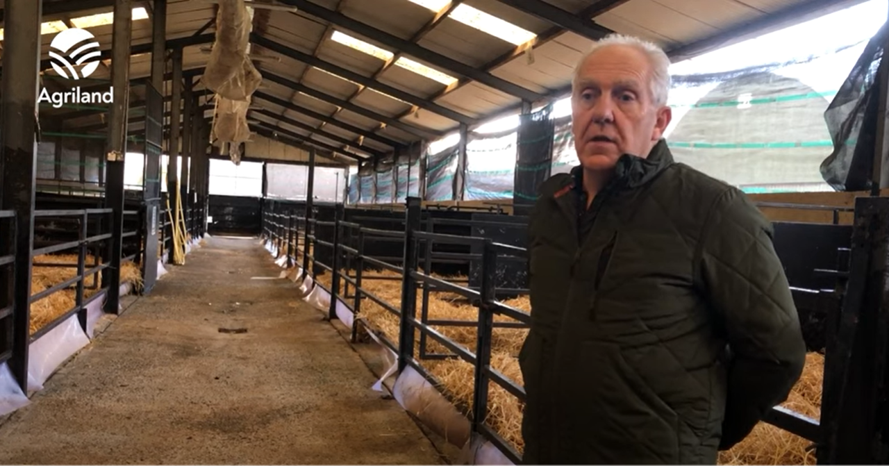 Wicklow Calf Company reaffirms commitment to calf welfare
