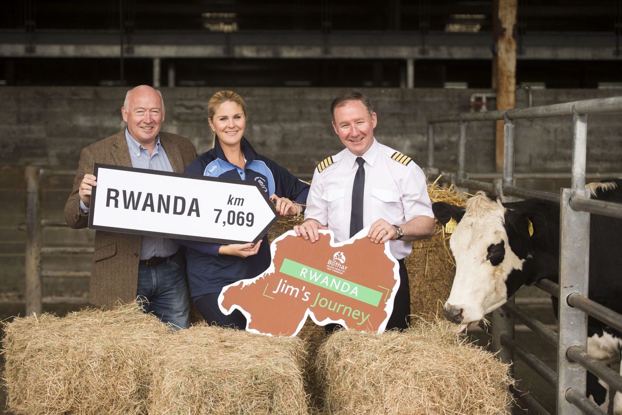 Bothar to transport 1,000th heifer to Rwanda this week