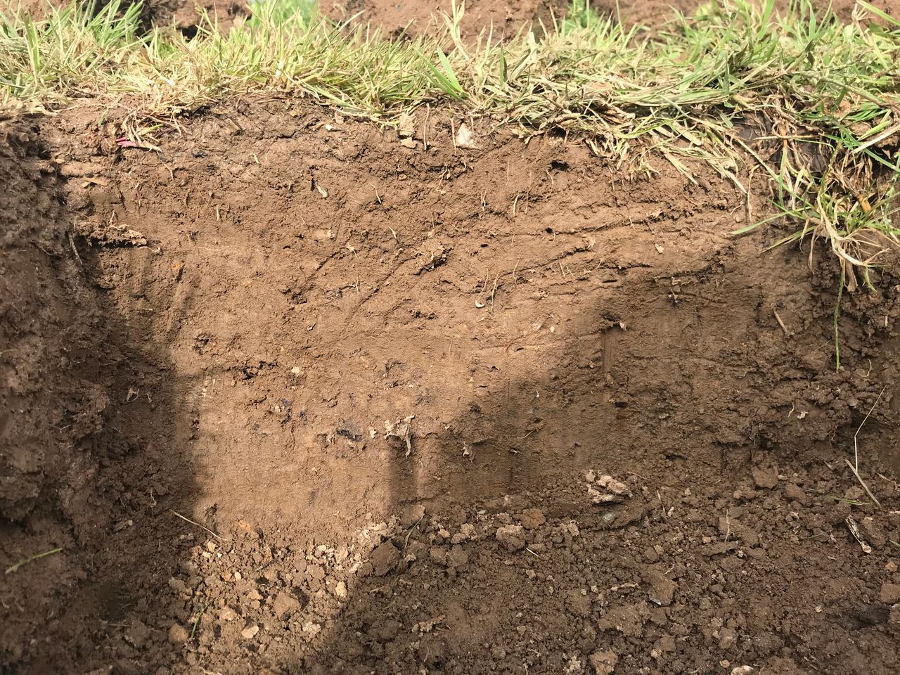 EU member states adopt new soil monitoring rules