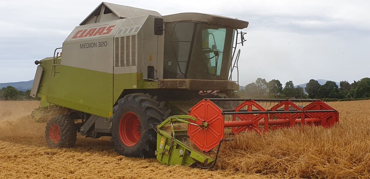 Straw decisions: To chop or not to chop?