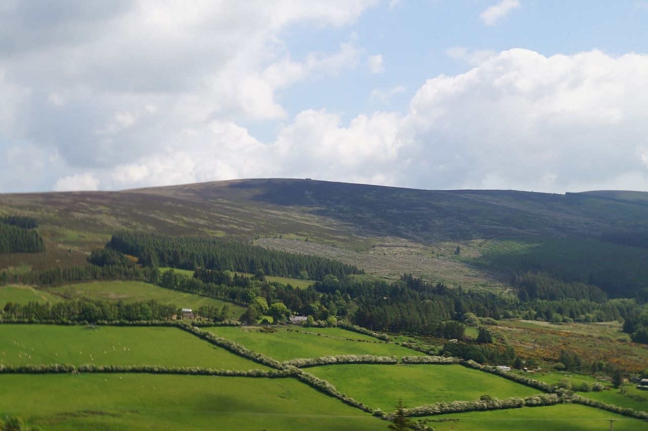 Eco-scheme balancing payments of almost €82m commence