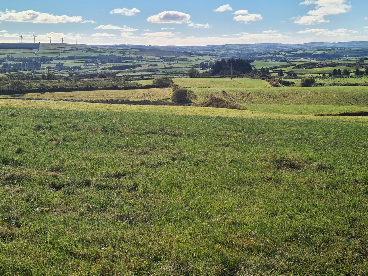Derelict Drimoleague farmhouse on 70ac for sale