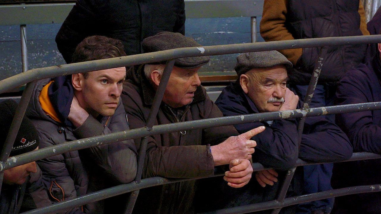 McNamara: 'Equivalent of €8.50/kg to be got at the mart'